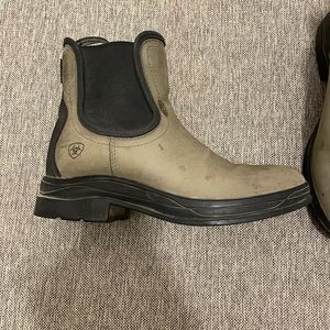 Women's Ariat Paddock Boots